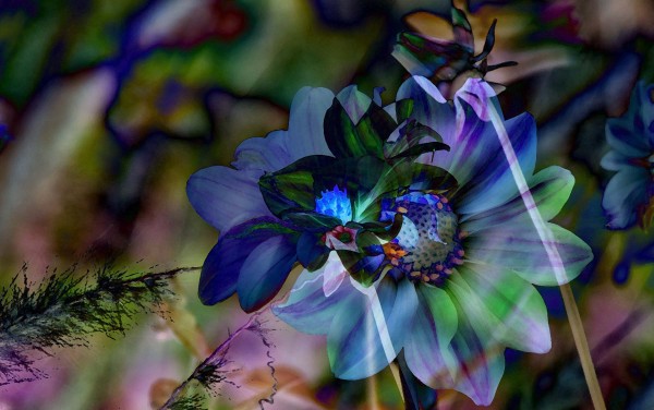 Touch of Blue by Violet
